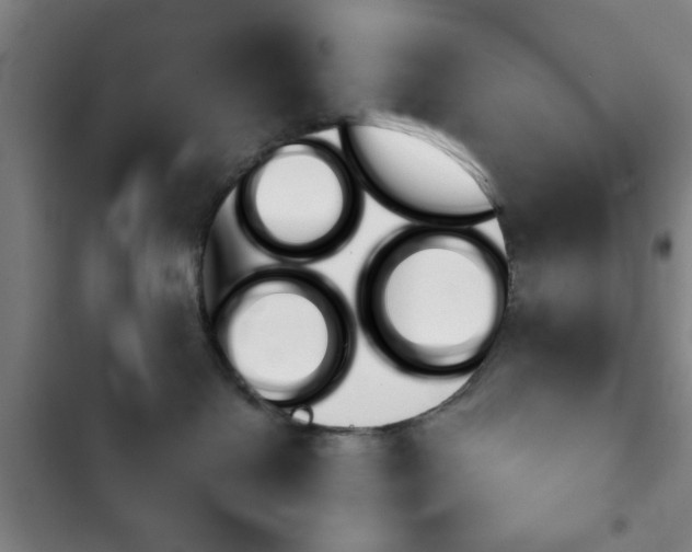 X0000103260286200808291050