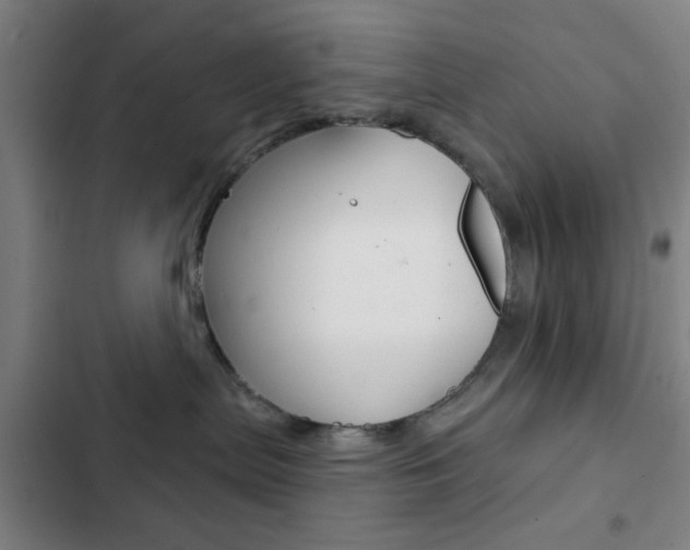 X0000103260287200808291050