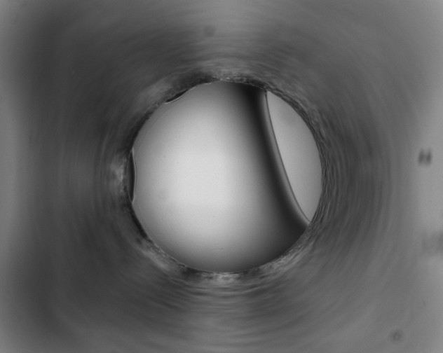 X0000103260288200808291050