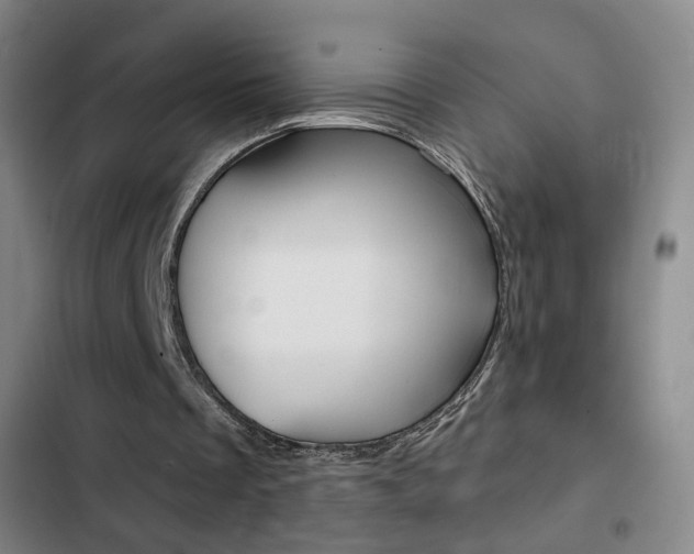 X0000103260289200808291049