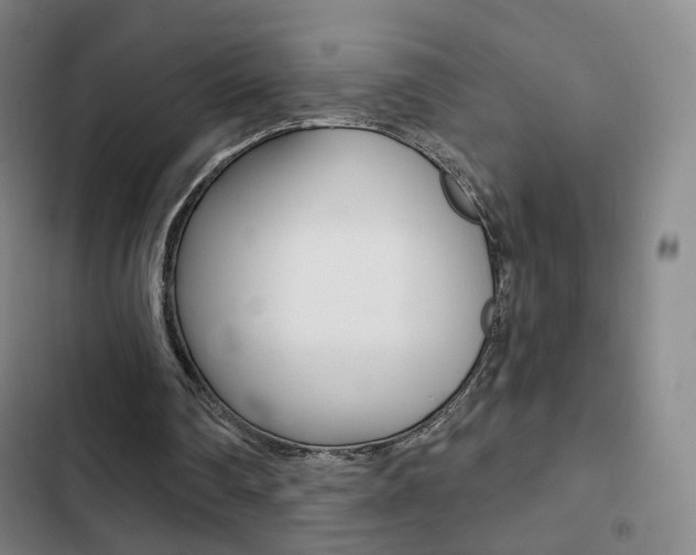 X0000103260290200808291049