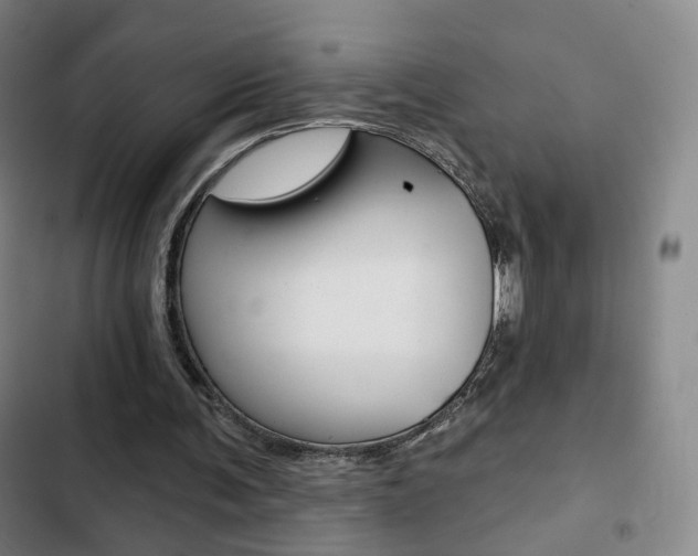 X0000103260291200808291049