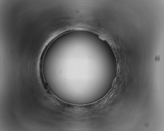 X0000103260292200808291049