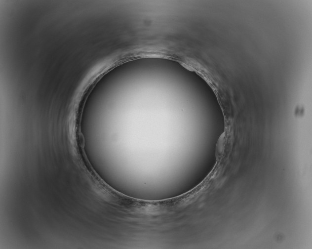 X0000103260293200808291049