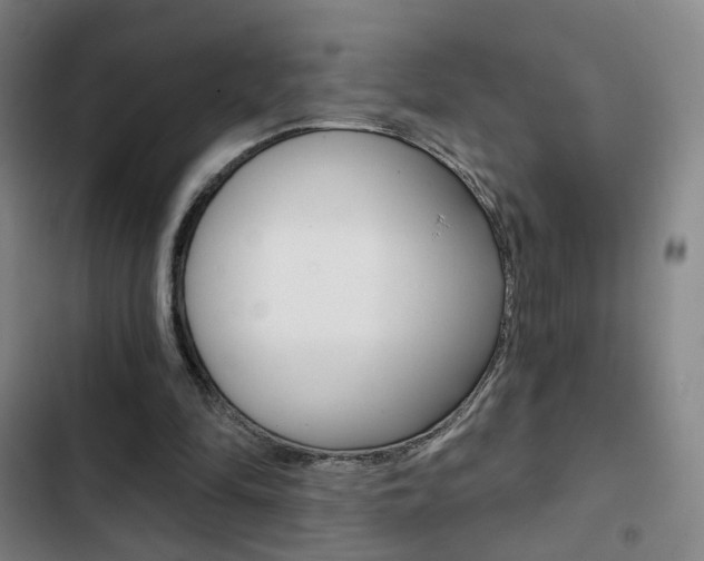 X0000103260294200808291049