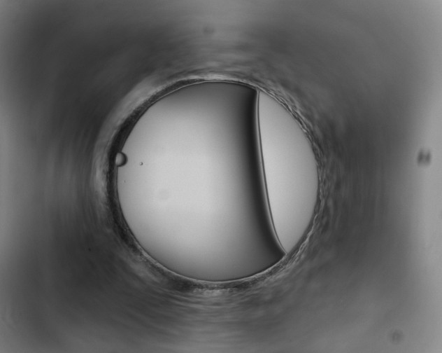 X0000103260295200808291049