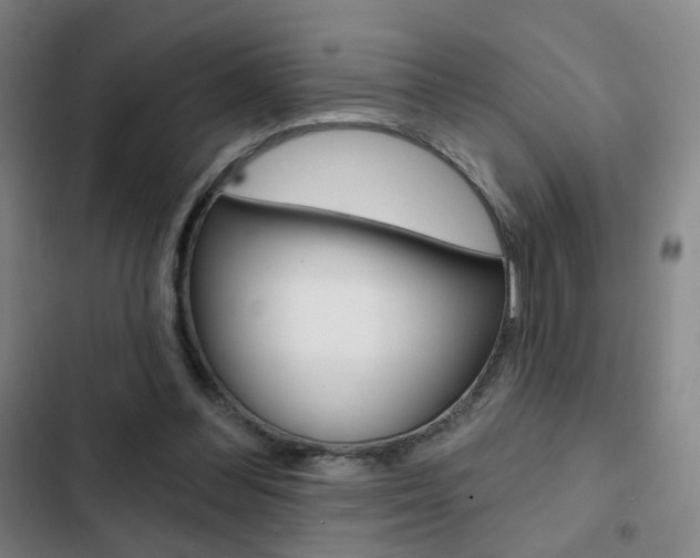 X0000103260300200808291049