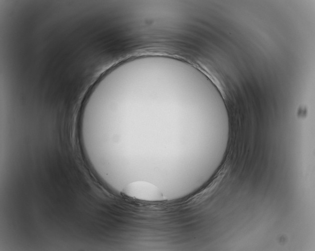 X0000103260301200808291049