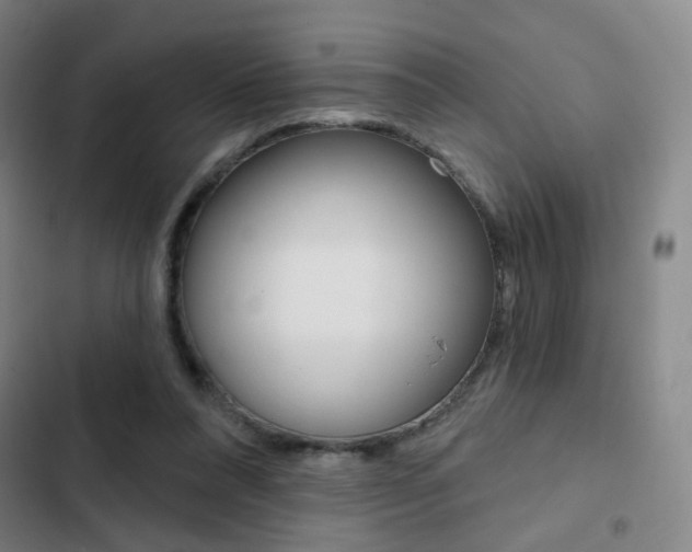 X0000103260304200808291049