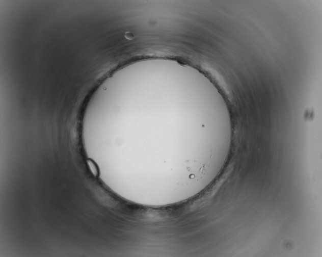 X0000103260305200808291049