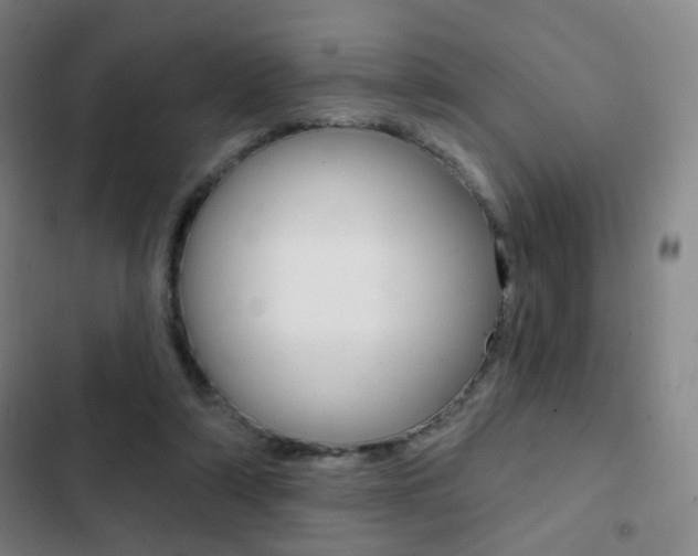 X0000103260306200808291049