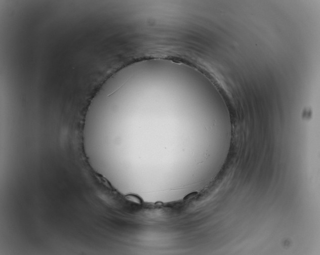 X0000103260307200808291049