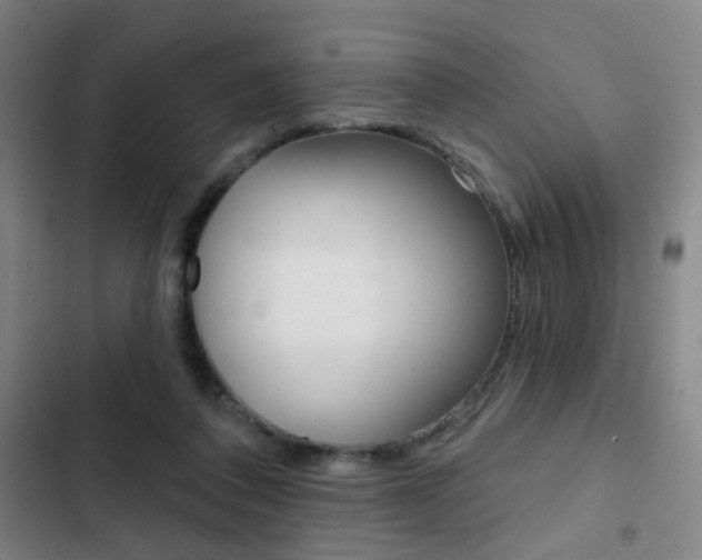 X0000103260308200808291049