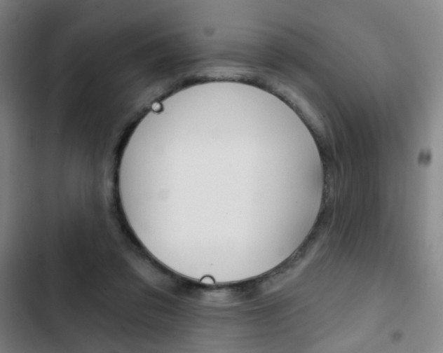 X0000103260309200808291049