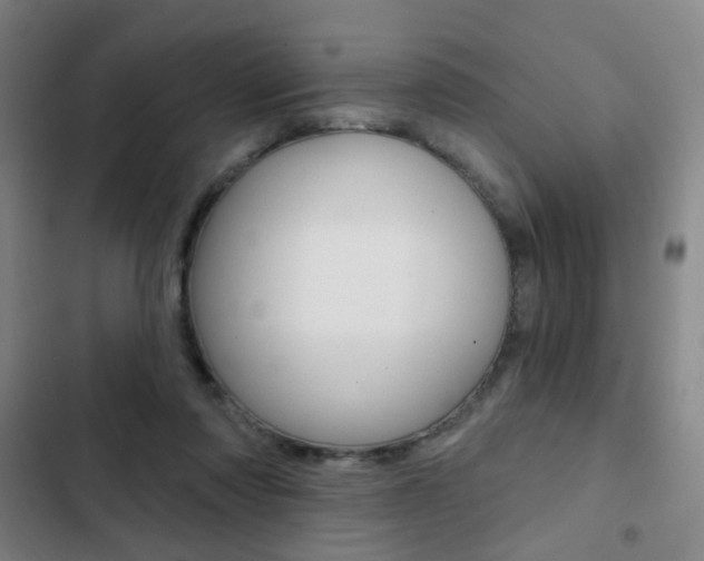 X0000103260310200808291049