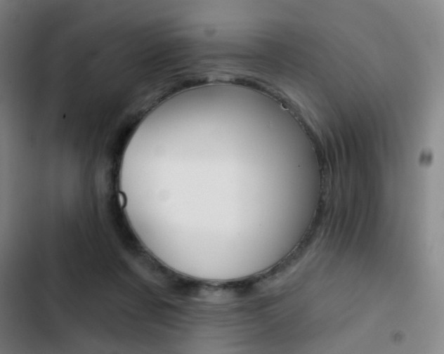 X0000103260311200808291049