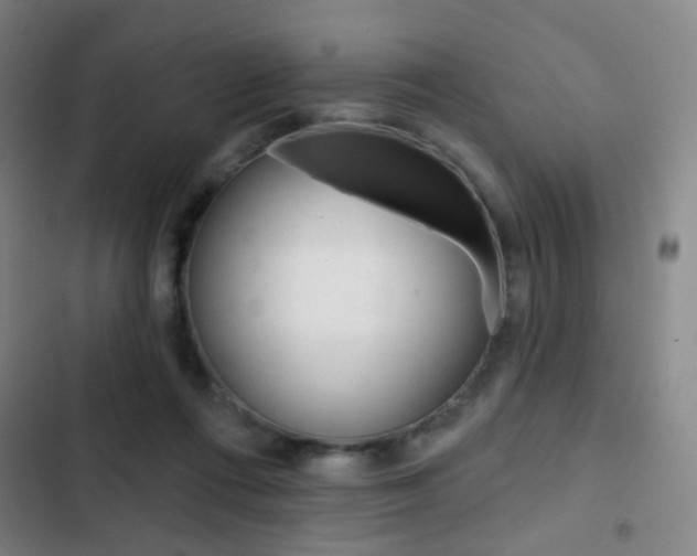 X0000103260312200808291049