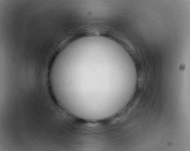 X0000103260314200808291049