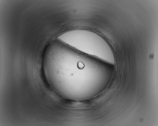 X0000103260315200808291049