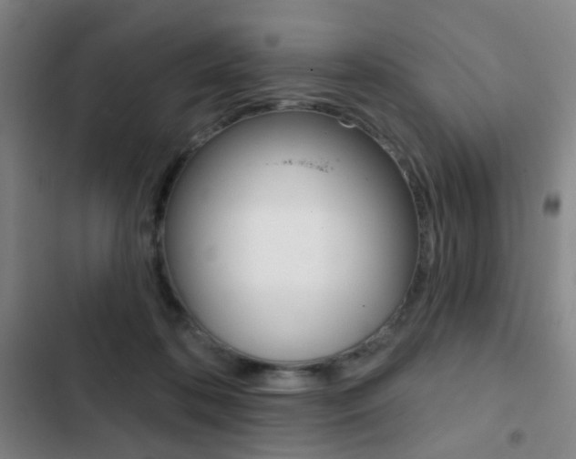 X0000103260316200808291049