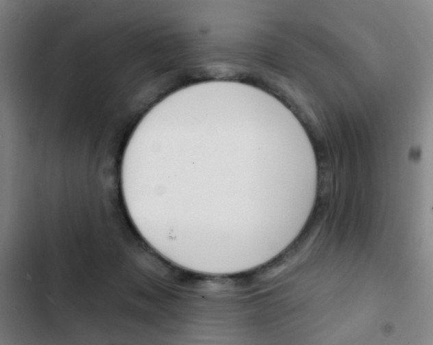 X0000103260317200808291049