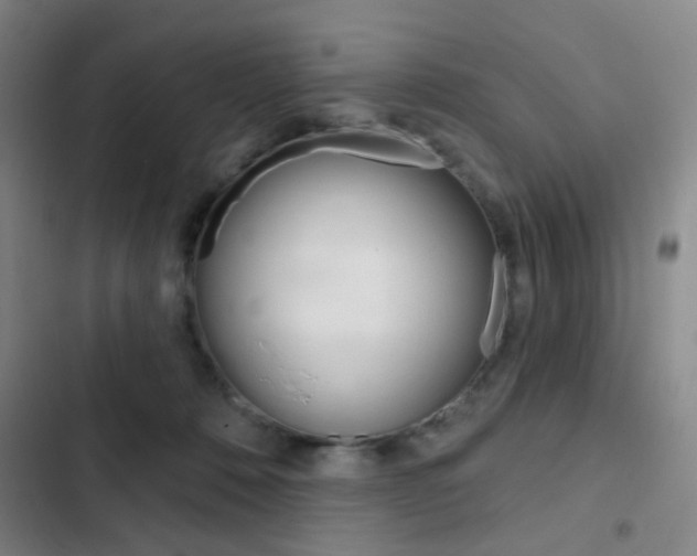 X0000103260320200808291049