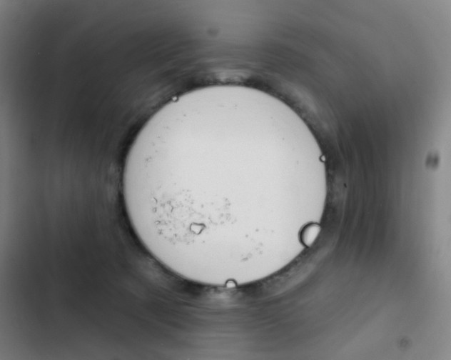 X0000103260321200808291049