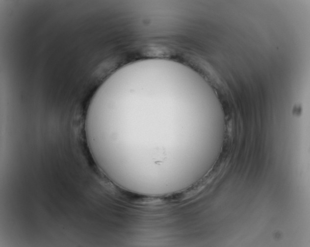 X0000103260322200808291049