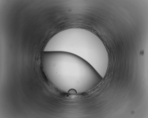 X0000103260323200808291049