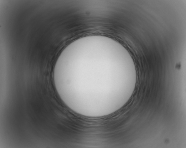 X0000103260324200808291049