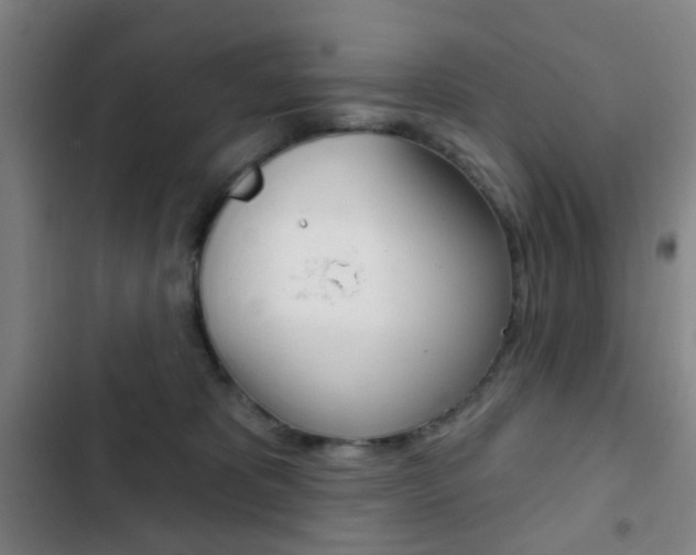 X0000103260325200808291049