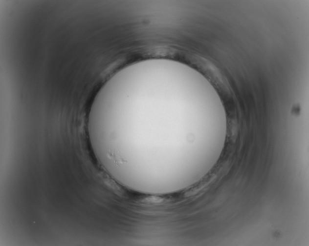 X0000103260326200808291049