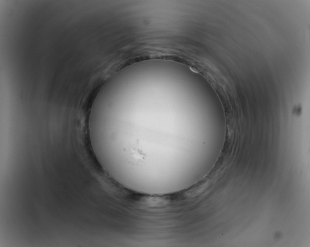 X0000103260327200808291049