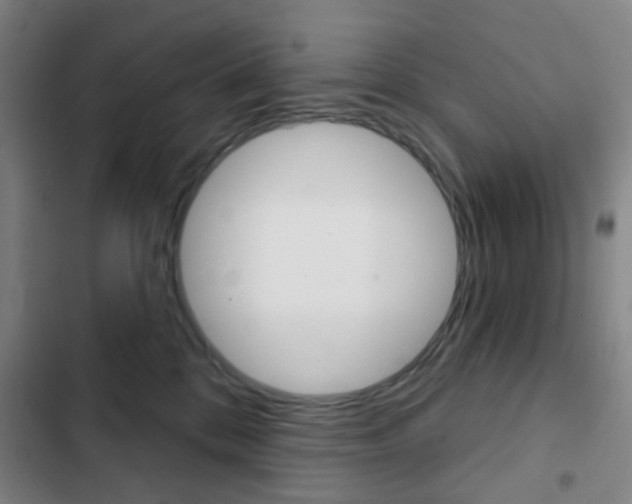 X0000103260328200808291049