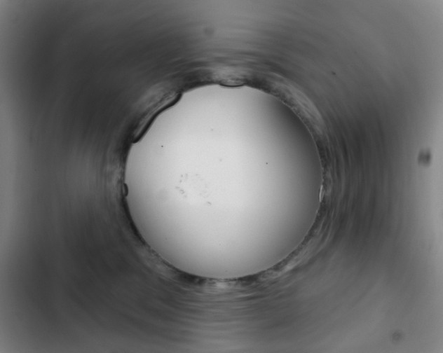 X0000103260329200808291049