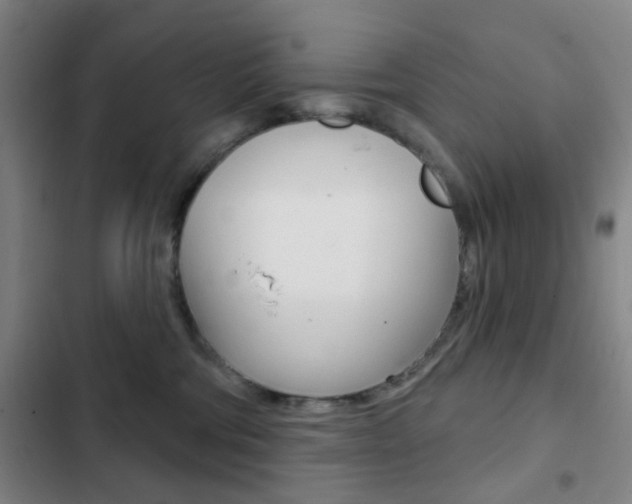 X0000103260330200808291049