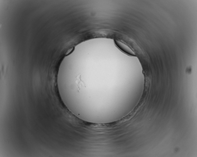 X0000103260331200808291049