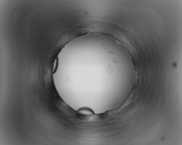 X0000103260333200808291049