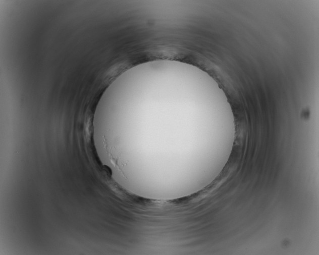 X0000103260334200808291048