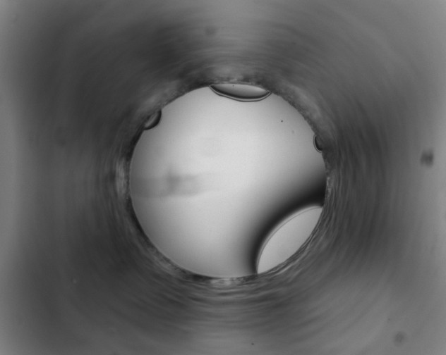 X0000103260335200808291048