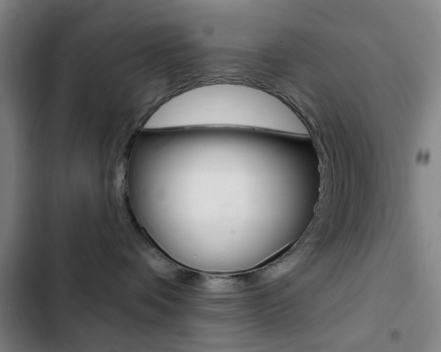 X0000103260336200808291048