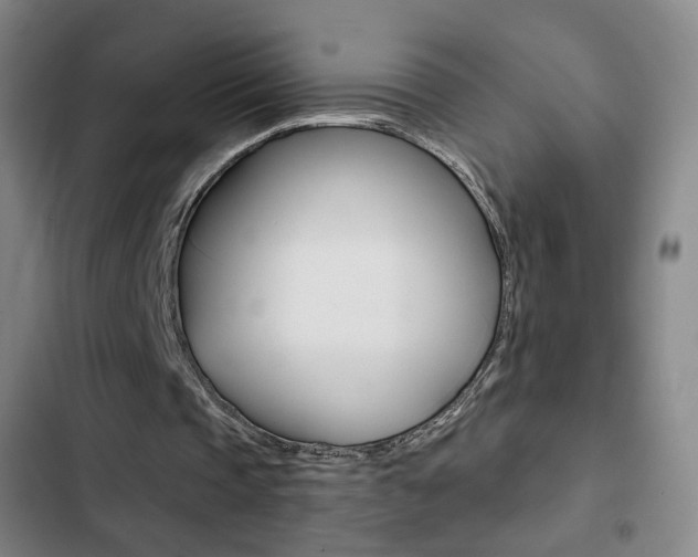 X0000103260337200808291048