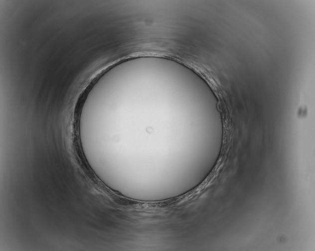 X0000103260338200808291048