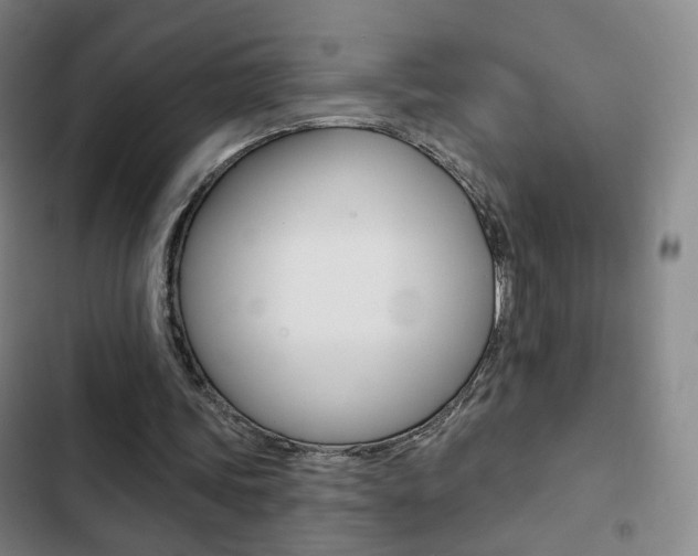 X0000103260339200808291048