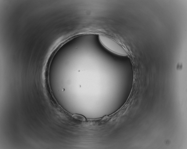 X0000103260340200808291048