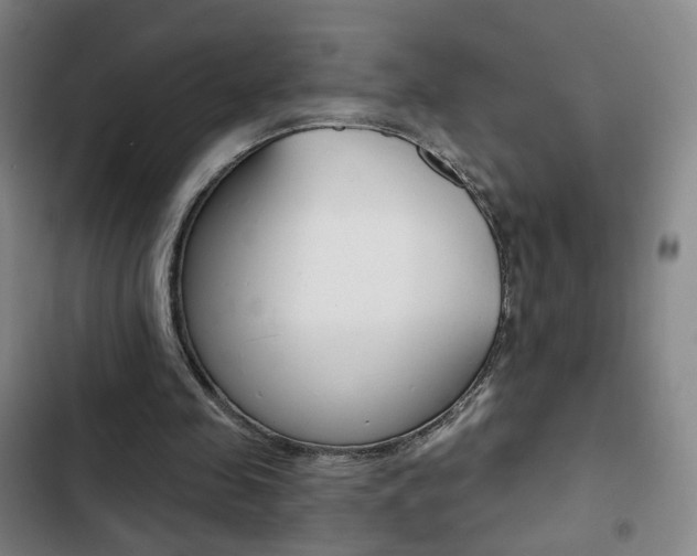 X0000103260341200808291048