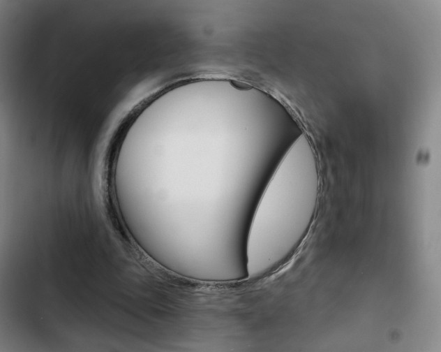 X0000103260343200808291048