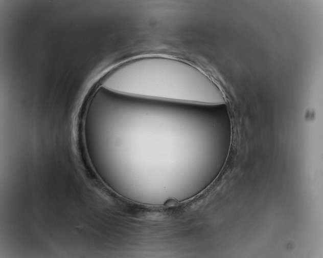 X0000103260344200808291048