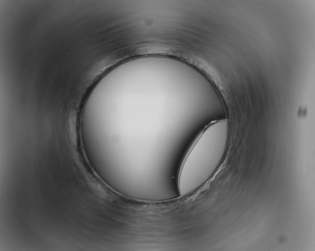 X0000103260345200808291048