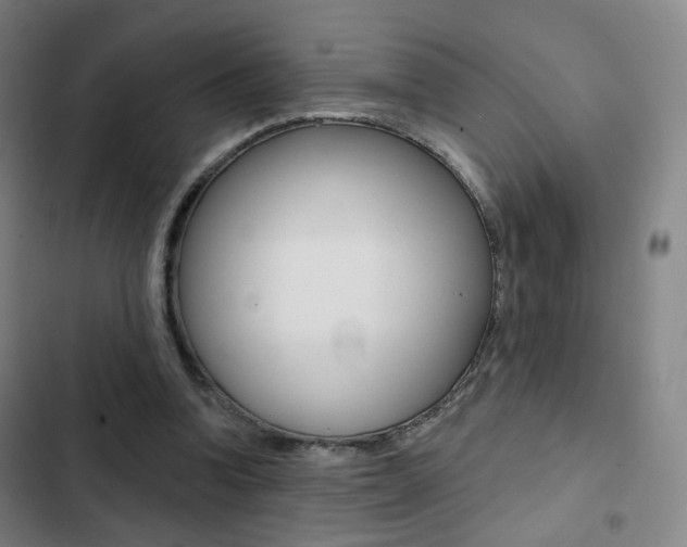 X0000103260346200808291048